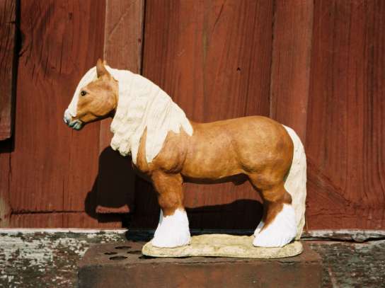 Nordsvensk. Manköjd 17-18 cm. 800:-